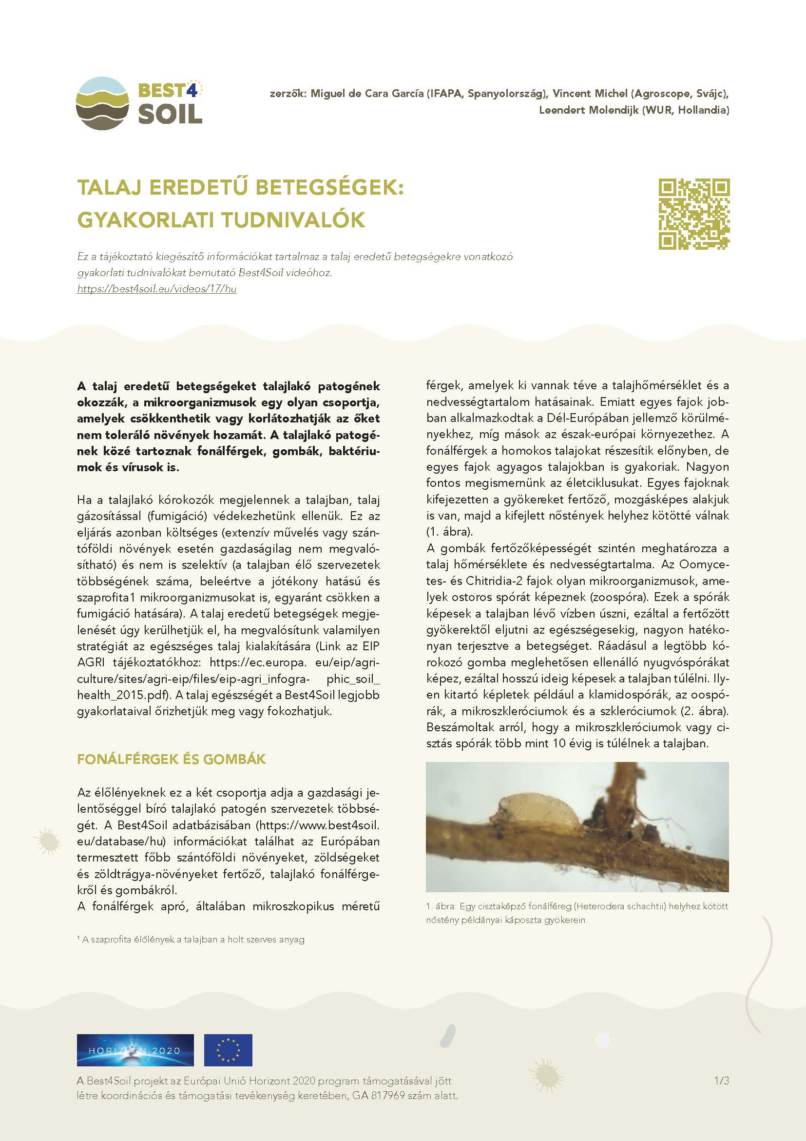Choroby przenoszone przez glebę: Informacje praktyczne (broszura informacyjna Best4Soil)