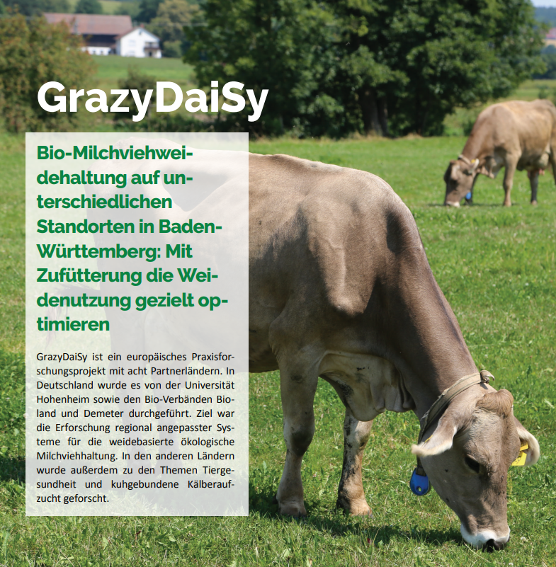 Økologisk malkekvæg, der græsser på forskellige steder i Baden-Württemberg: Optimering af græsbrug på en målrettet måde med supplerende fodring