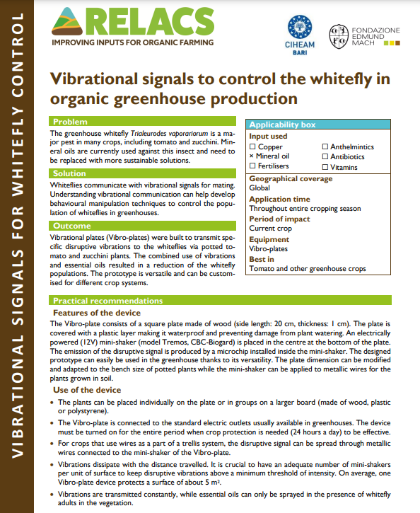 Vibratsioonisignaalid valgekärbse juhtimiseks
mahekasvuhoonekasvatus (RELACSi praktika kokkuvõte)