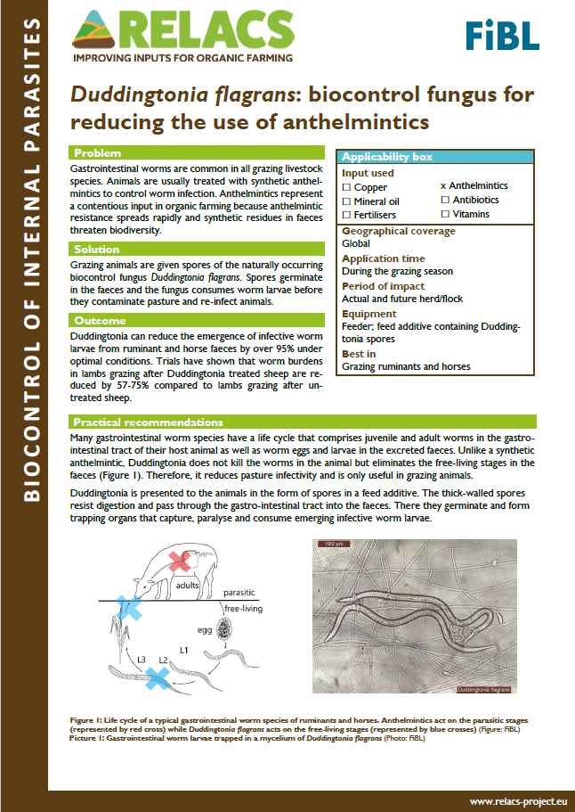 Duddingtonia flagrans: biocontrol fungus for reducing the use of anthelmintics (RELACS Practice abstract)