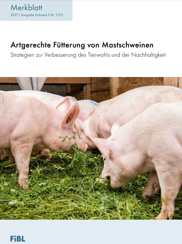 Species-appropriate feeding of fattening pigs