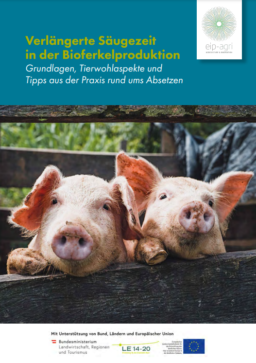 Extended suckling period in organic piglet production