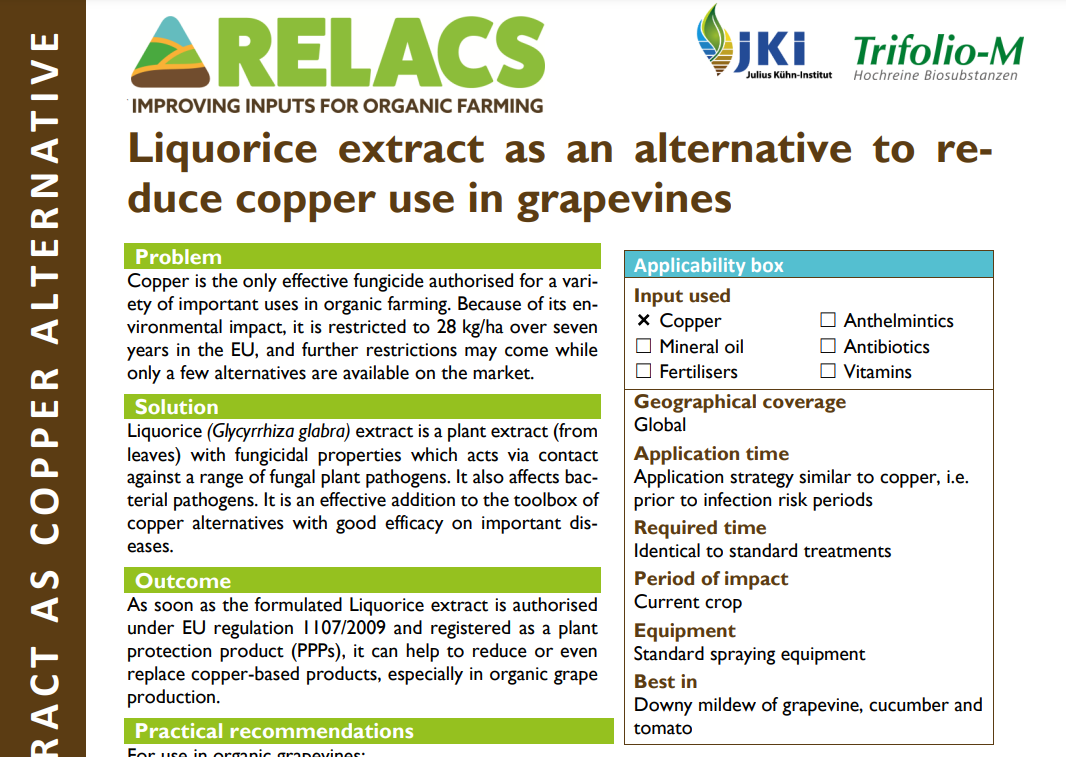 Ekstrakt z lukrecji jako alternatywa zmniejszająca zużycie miedzi w winoroślach (streszczenie praktyki RELACS)