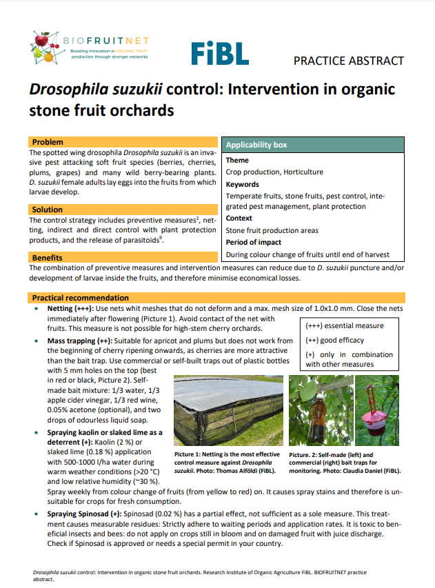 Zwalczanie Drosophila suzukii: Interwencja w organicznych sadach pestkowych (Streszczenie praktyki Biofruitnet)