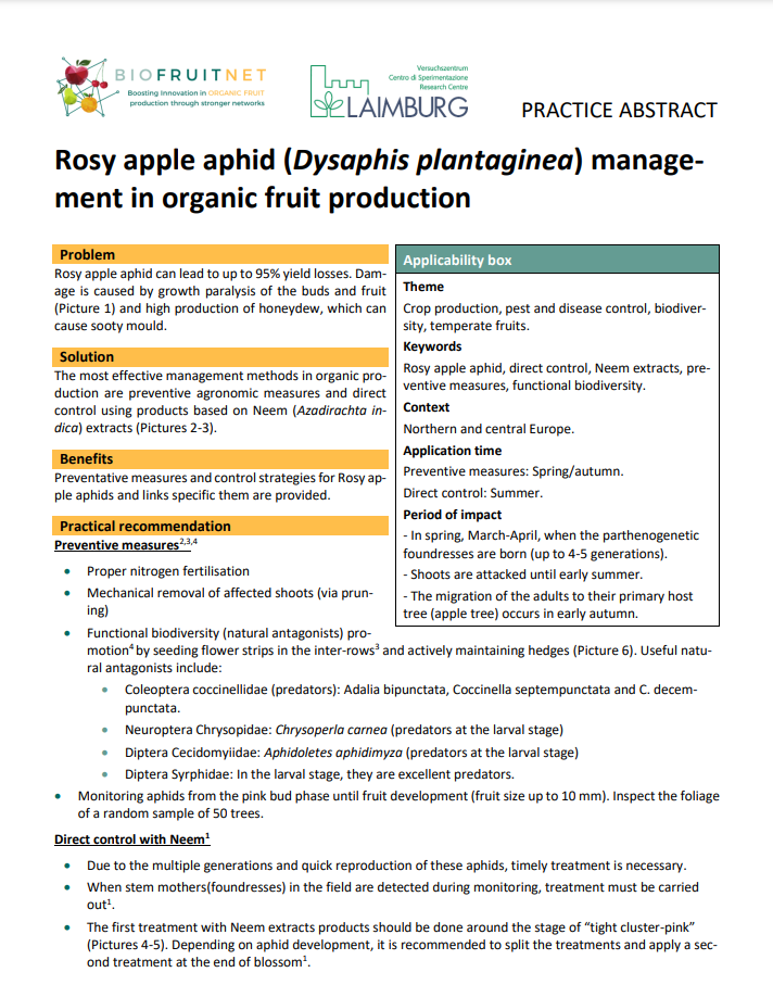 Rožainā ābolu laputu (Dysaphis plantaginea) pārvaldība bioloģiskajā augļu ražošanā (Biofruitnet prakses kopsavilkums)