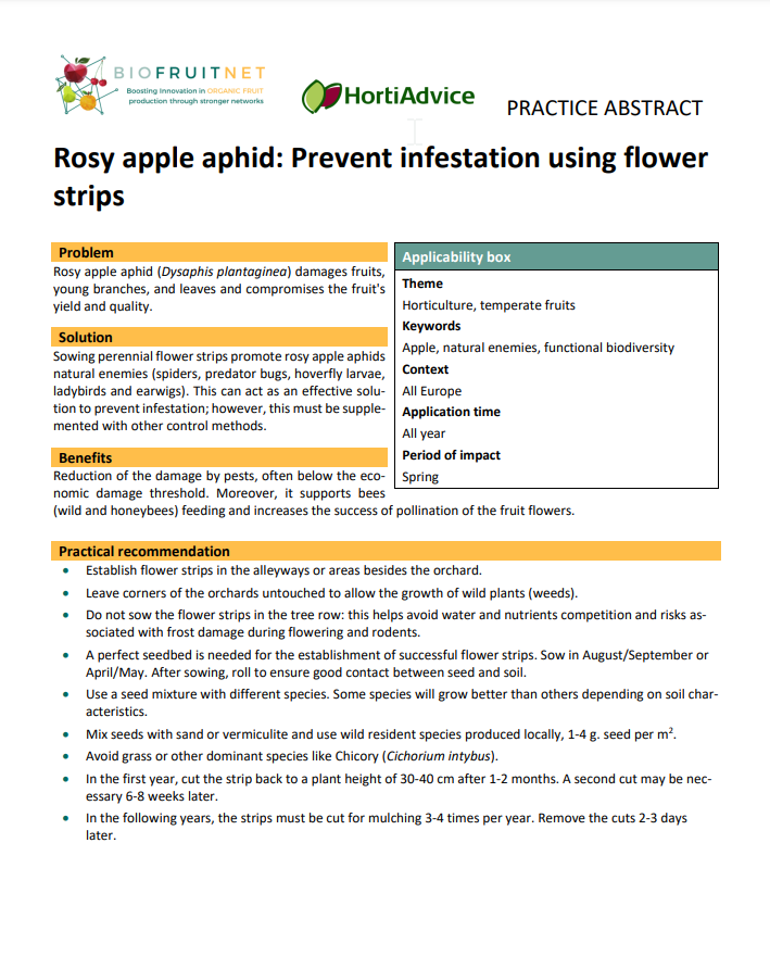 Pulgón rosado de la manzana: Prevenga la infestación usando tiras de flores (Biofruitnet Practice Abstract)