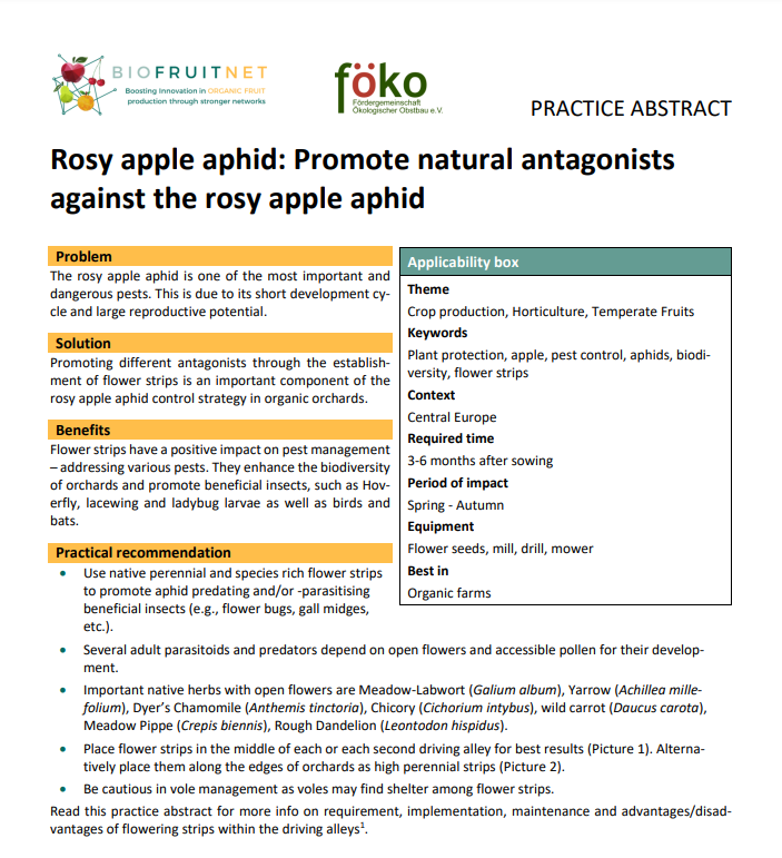 Pulgón rosado de la manzana: promover antagonistas naturales contra el pulgón rosado de la manzana (Resumen de práctica de Biofruitnet)