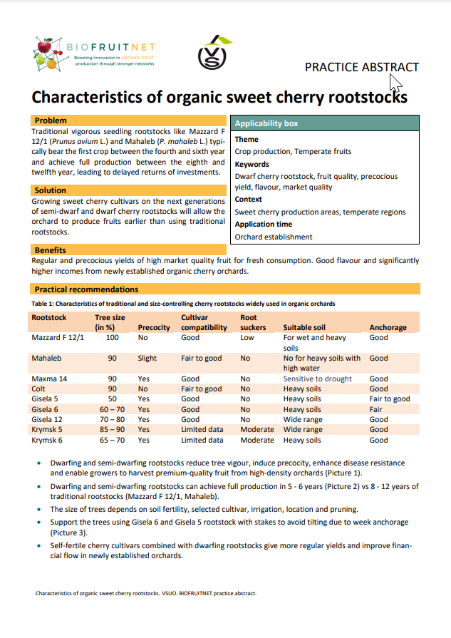 Characteristics of organic sweet cherry rootstocks (Biofruitnet Practice Abstract)