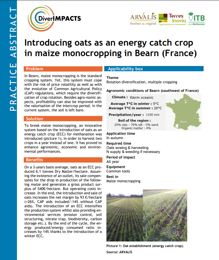 Представяне на овес като междинна енергийна култура при монокултивиране на царевица в Беарн, Франция (DiverIMPACTS Practice Abstract)