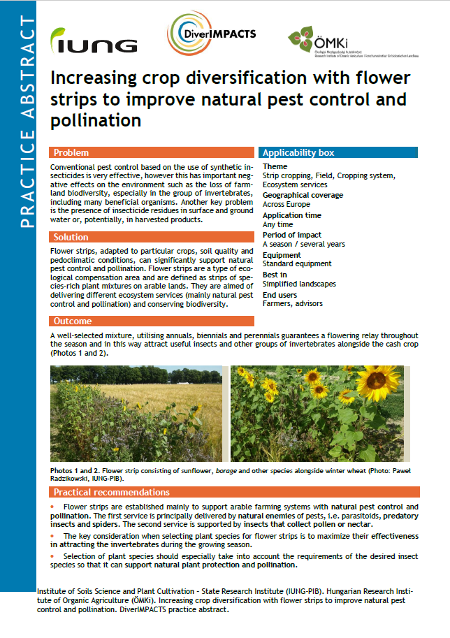 Øget afgrødediversificering med blomsterstrimler for at forbedre naturlig skadedyrsbekæmpelse og bestøvning (DiverIMPACTS Practice Abstract)