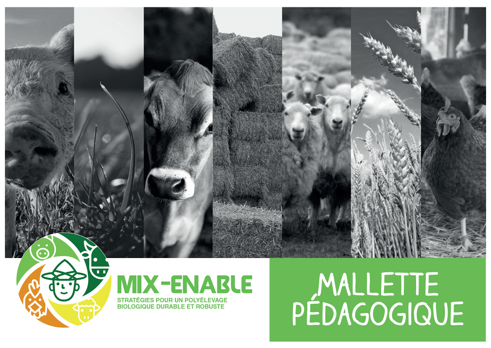 Kit di strumenti educativi: strategie per un'allevamento biologico misto sostenibile e robusto (strumento Mix-Enable)