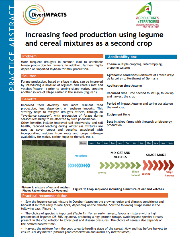 Zwiększanie produkcji pasz z wykorzystaniem mieszanek roślin strączkowych i zbóż jako drugiej uprawy (Streszczenie praktyki DiverIMPACTS)