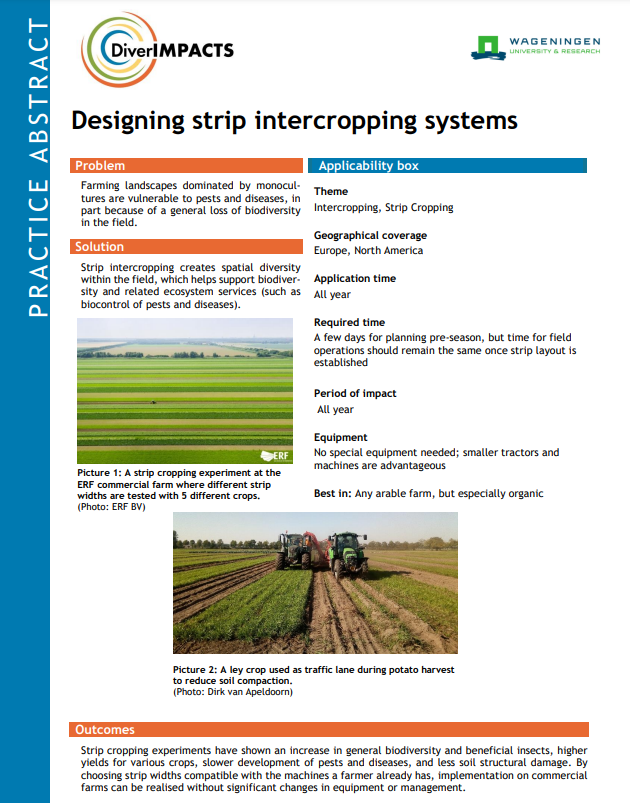 Designing strip intercropping systems (DiverIMPACTS Practice Abstract)