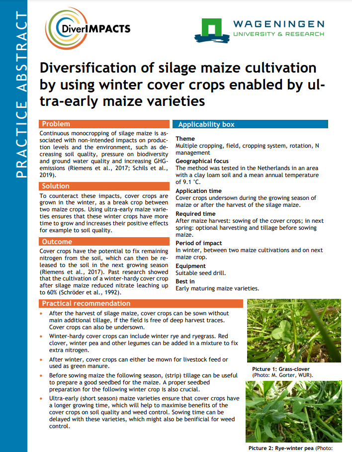 Разнообразяване на отглеждането на силажна царевица чрез използване на зимни покривни култури, активирани от ултраранни сортове царевица (DiverIMPACTS Practice Abstract)
