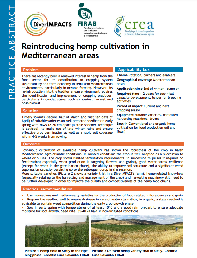 Reintroducción del cultivo de cáñamo en las zonas mediterráneas (Resumen de práctica de DiverIMPACTS)