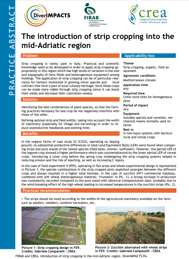 La introducción del cultivo en franjas en la región del Adriático medio (Resumen de práctica de DiverIMPACTS)
