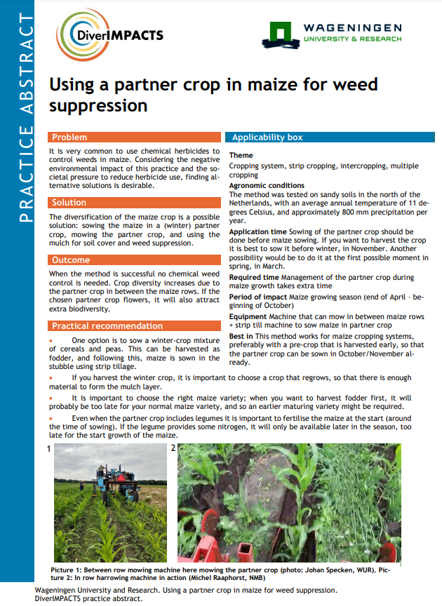 Using a partner crop in maize for weed suppression (DiverIMPACTS Practice Abstract)