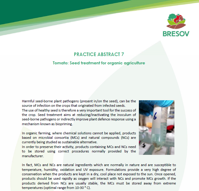 Paradicsom: Vetőmag kezelés az ökológiai mezőgazdaság számára (BRESOV gyakorlati kivonat)