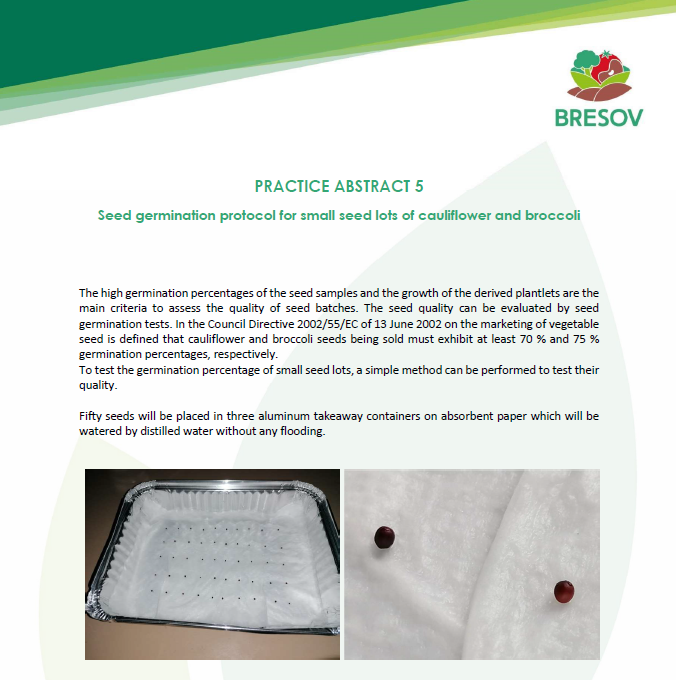 Protocollo di germinazione dei semi per piccoli lotti di semi di cavolfiore e broccoli (BRESOV Practice Abstract)