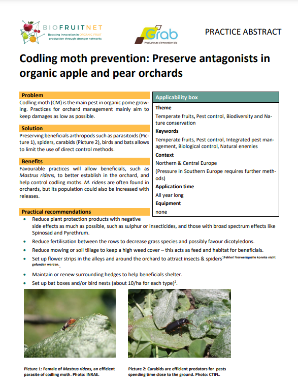 Codling moth prevention: Preserve antagonists in organic apple and pear orchards (BIOFRUITNET Practice Abstract)