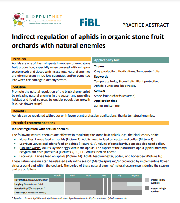 Indirekte Regulierung von Blattläusen in biologischen Steinobstplantagen mit natürlichen Feinden (BIOFRUITNET Practice Abstract)
