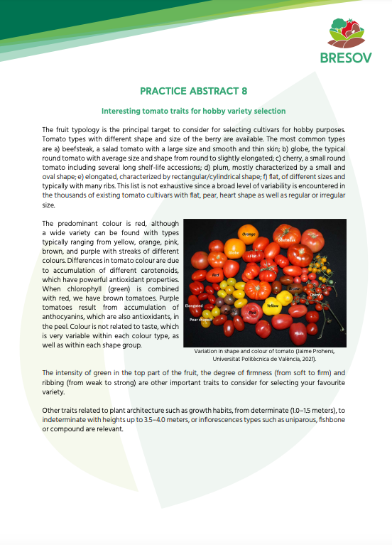 Interesantas tomātu īpašības hobija šķirņu izvēlei (BRESOV prakses kopsavilkums)