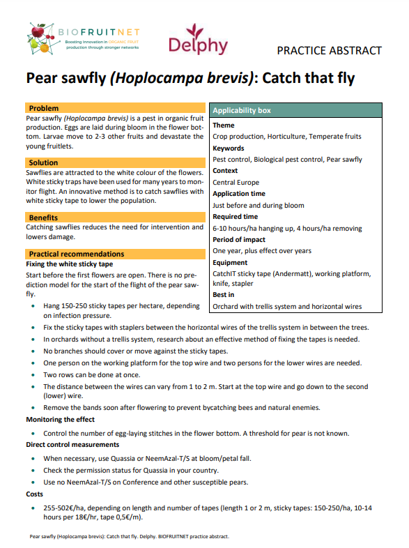 Pear sawfly (Hoplocampa brevis): Catch that fly (BIOFRUITNET Practice Abstract)