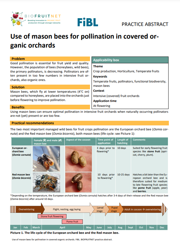 Utilisation des abeilles maçonnes pour la pollinisation dans les vergers biologiques couverts (BIOFRUITNET Practice Abstract)