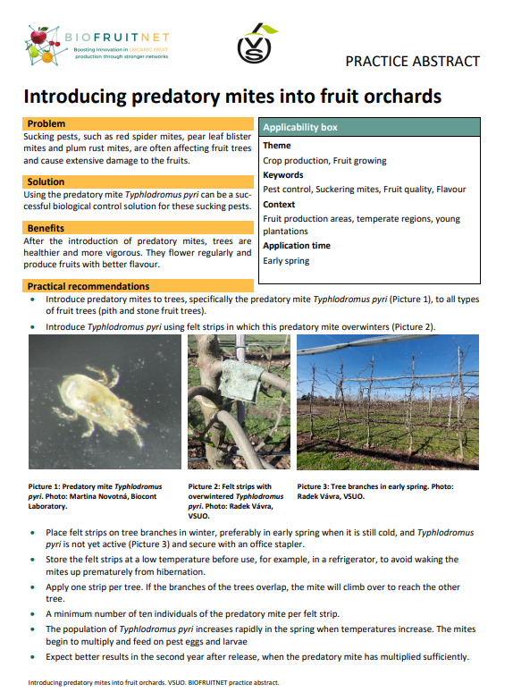 Introducción de ácaros depredadores en huertos frutales (Resumen de práctica de BIOFRUITNET)