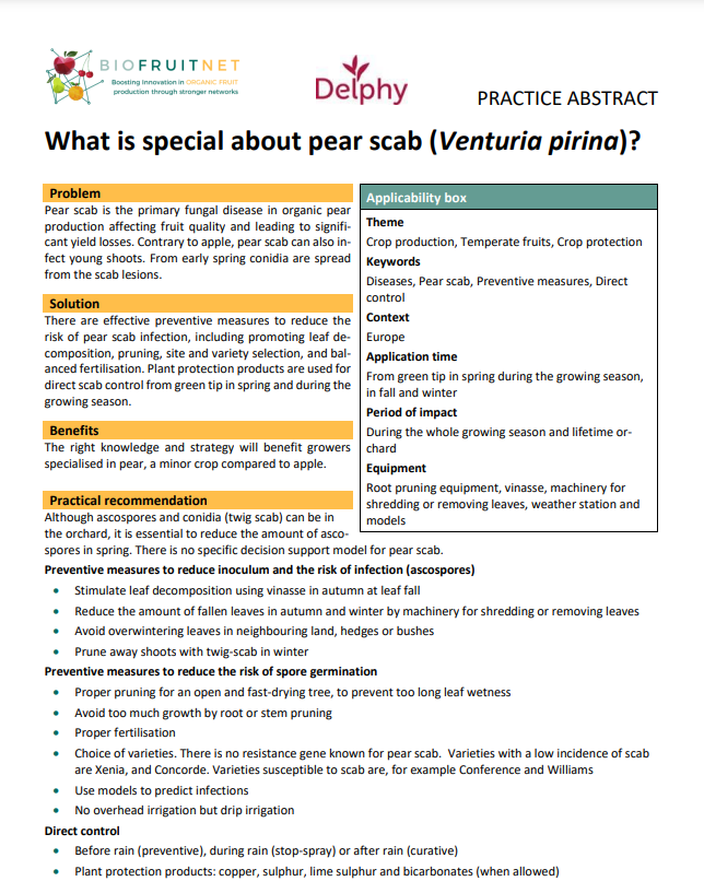 What is special about pear scab (Venturia pirina)? (BIOFRUITNET Practice Abstract)