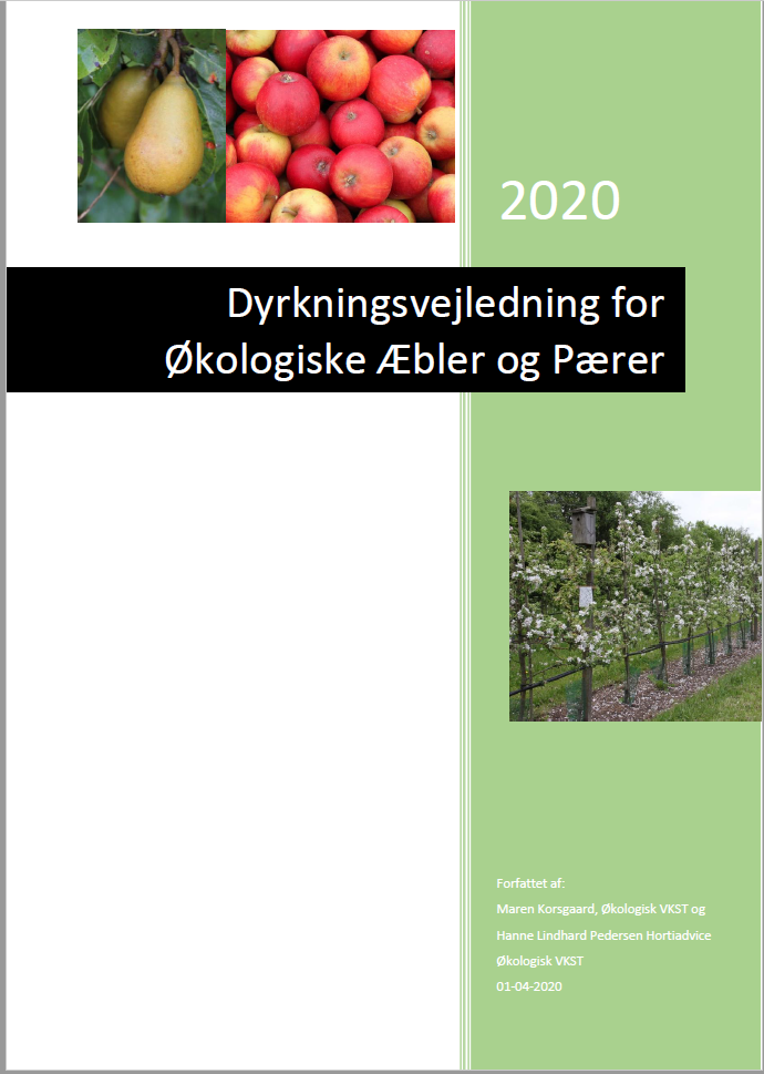 Retningslinjer for dyrkning af økologisk æble og pære