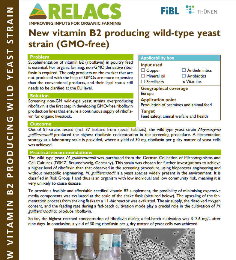 Nuovo ceppo di lievito selvatico che produce vitamina B2 (senza OGM) (RELACS Practice Abstract)