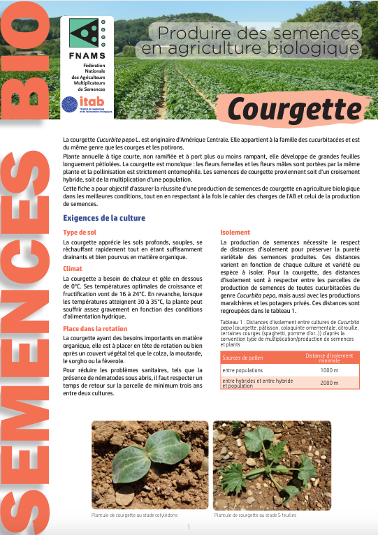 Produzione biologica di semi: Zucchine/Zucchine